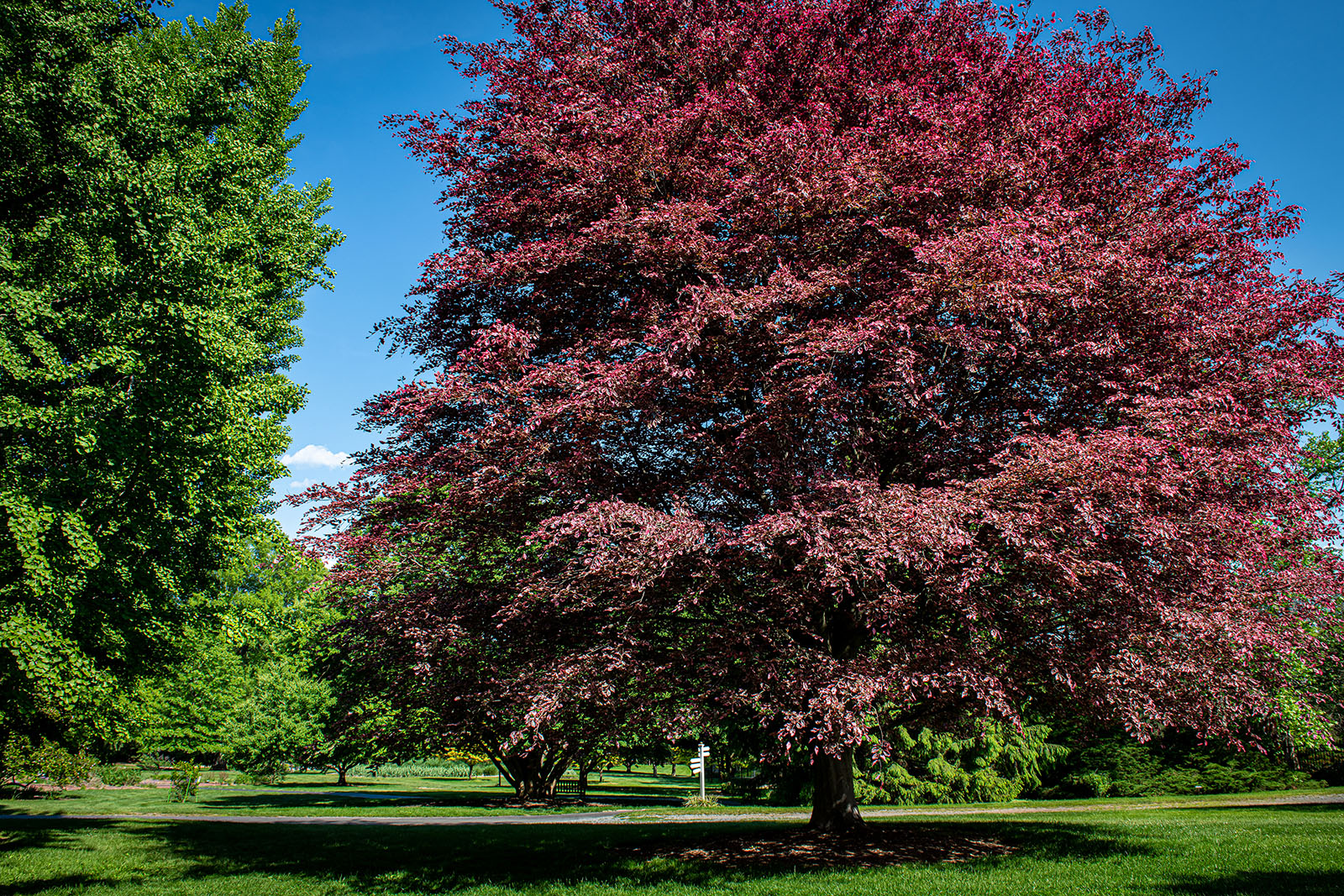 school-programs-hershey-gardens